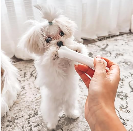 Nylabone Puppy Chew Toy Starter Pack - Dogs up to 25 lbs.