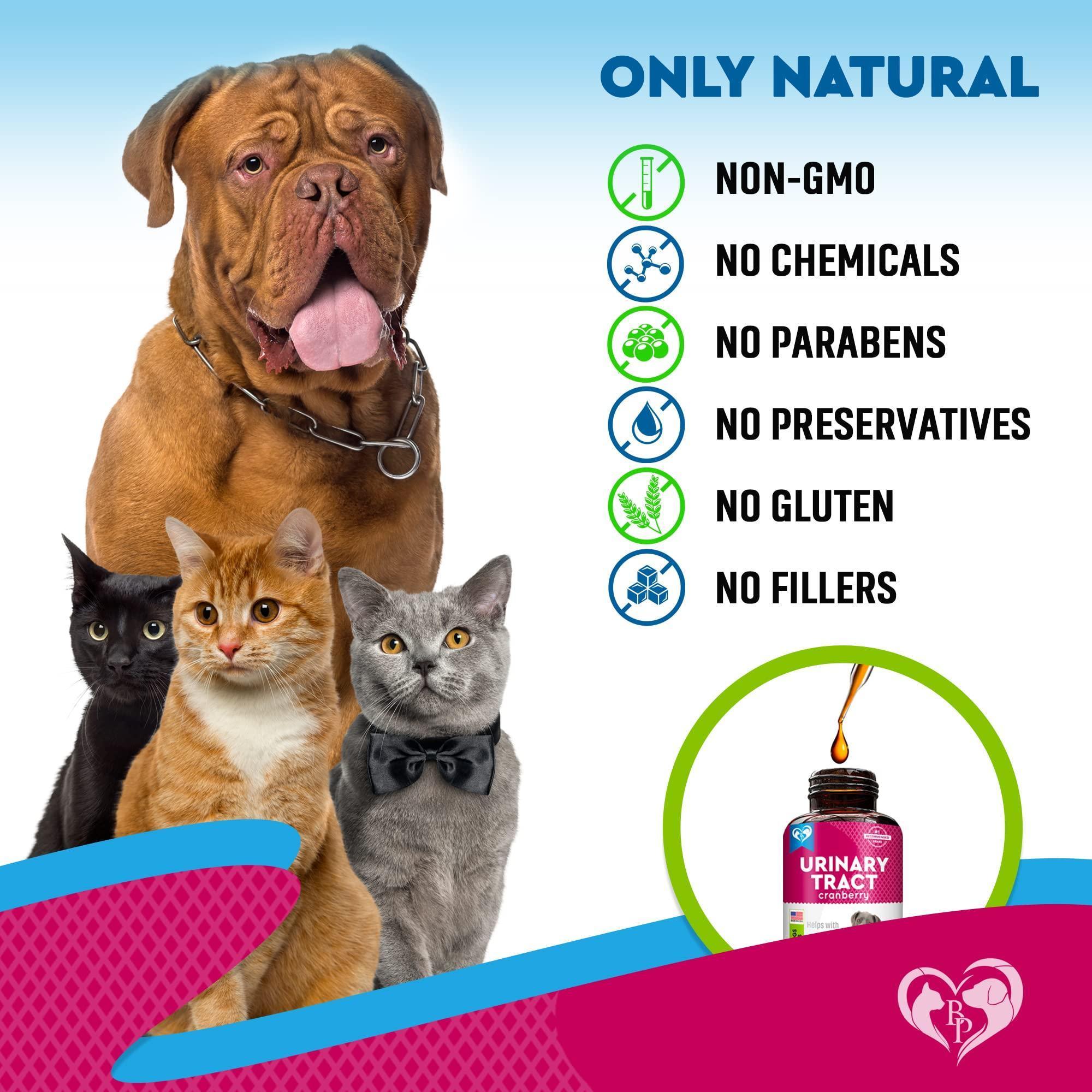 Natural Treatment for UTI Kidney Bladder Support for Dogs and Cats Drops